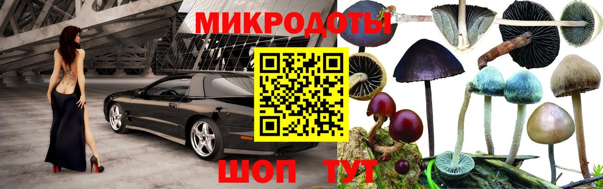 Галлюциногенные грибы Psilocybine cubensis Таганрог