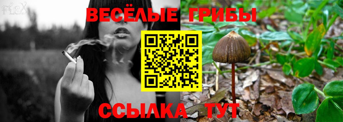 Таганрог  Галлюциногенные грибы Psilocybine cubensis  купить наркотики цена  Вход с VPN 